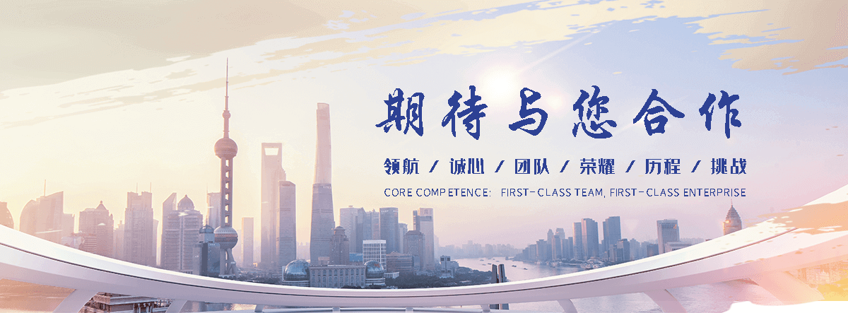 五莲海狮租赁公司
